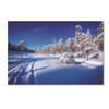 Trademark Fine Art Philippe Sainte-Laudy 'Arctic Nature' Canvas Art, 16x24 PSL01087-C1624GG